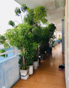 Green & Art Homestay